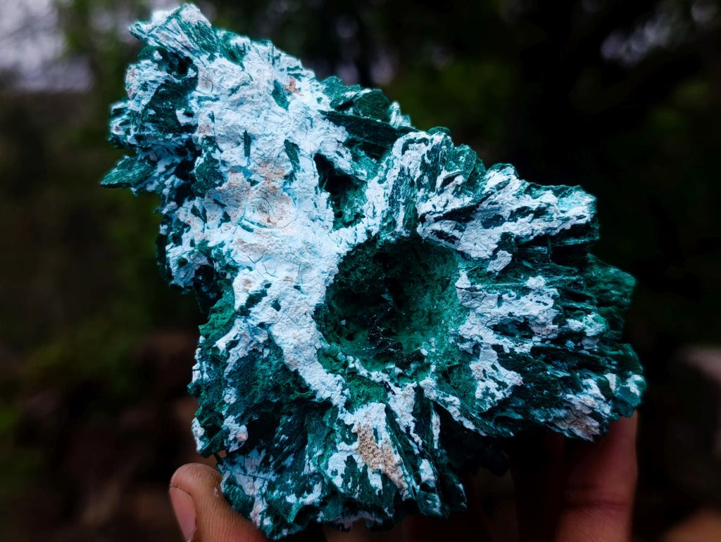 Natural Rare Bladed Malachite Pseudomorph Specimens with Associated Minerals x 6 From Kolwezi, Congo