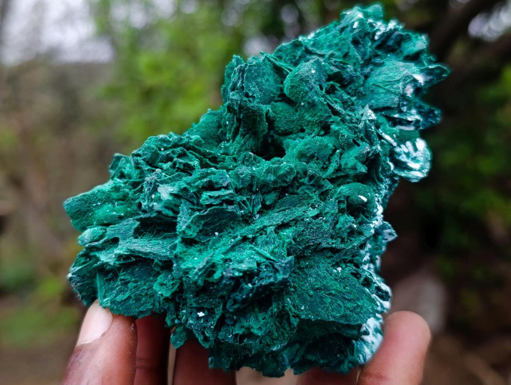 Natural Rare Bladed Malachite Pseudomorph Specimens with Associated Minerals x 6 From Kolwezi, Congo