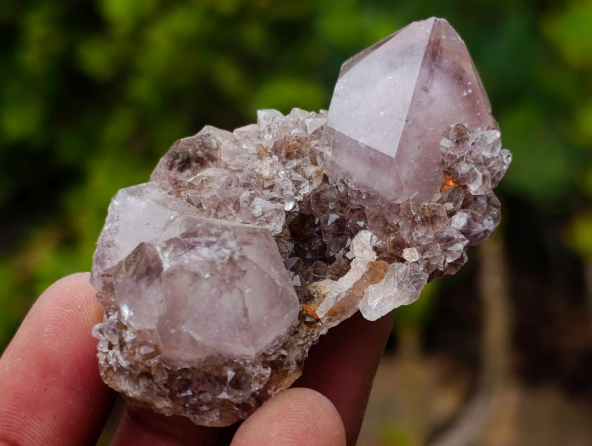 Natural Smokey Spirit Amethyst Crystals x 20 From Boekenhouthoek, South Africa