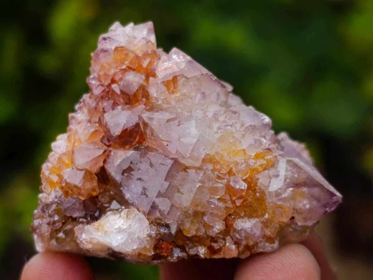 Natural Smokey Spirit Amethyst Crystals x 20 From Boekenhouthoek, South Africa