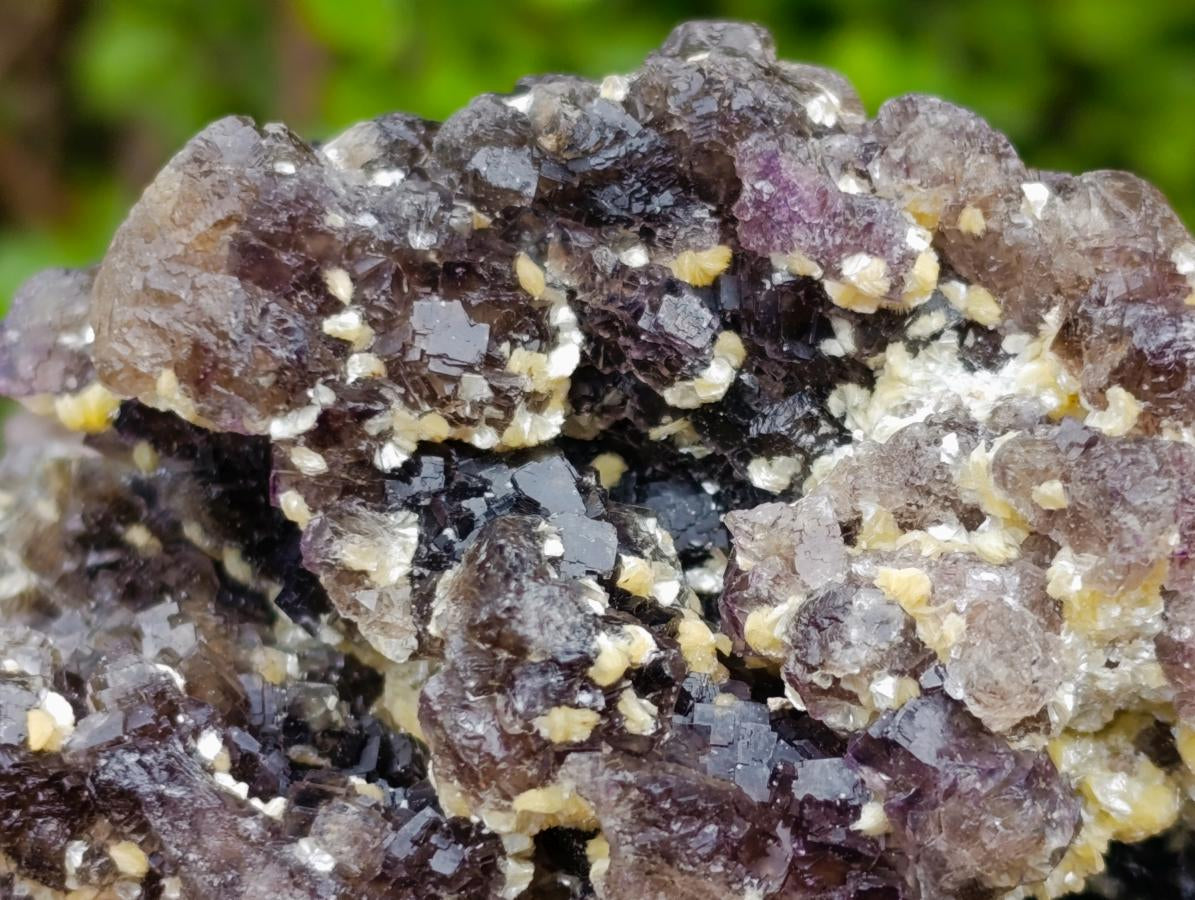Natural Smokey Fluorite Specimens with Yellow Muscovite Mica x 1 From Erongo, Namibia