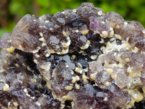 Natural Smokey Fluorite Specimens with Yellow Muscovite Mica x 1 From Erongo, Namibia