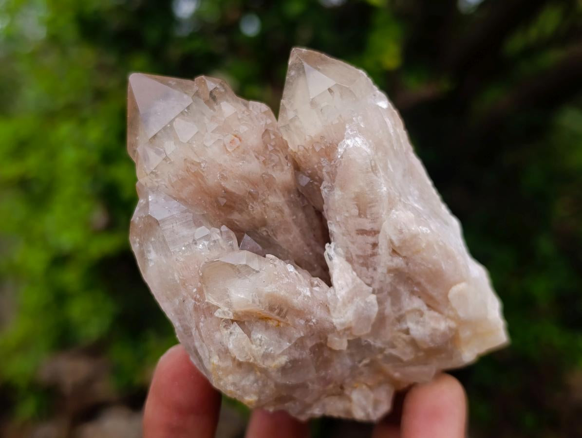 Natural Cascading White Phantom Smokey Luena Quartz Clusters x 6 From Luena, Congo