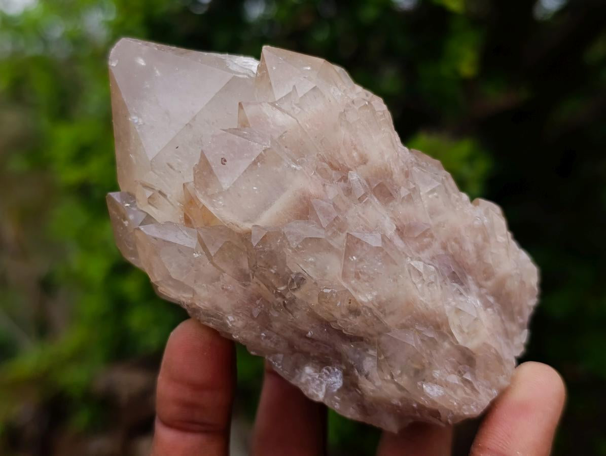 Natural Cascading White Phantom Smokey Luena Quartz Clusters x 6 From Luena, Congo