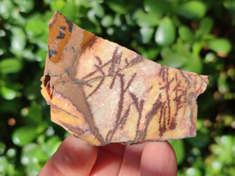 Natural Nguni Jasper Cobbed Specimens x 6.28 Kg Lot From Northern Cape, South Africa - Toprock Gemstones and Minerals 