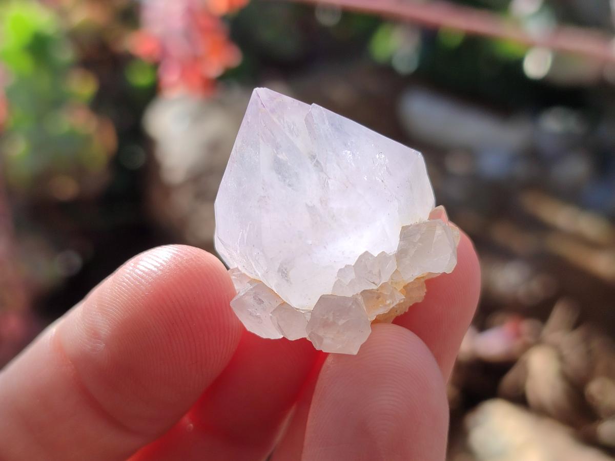 Natural Lilac Spirit Quartz Crystals x 70 From Boekenhouthoek, South Africa