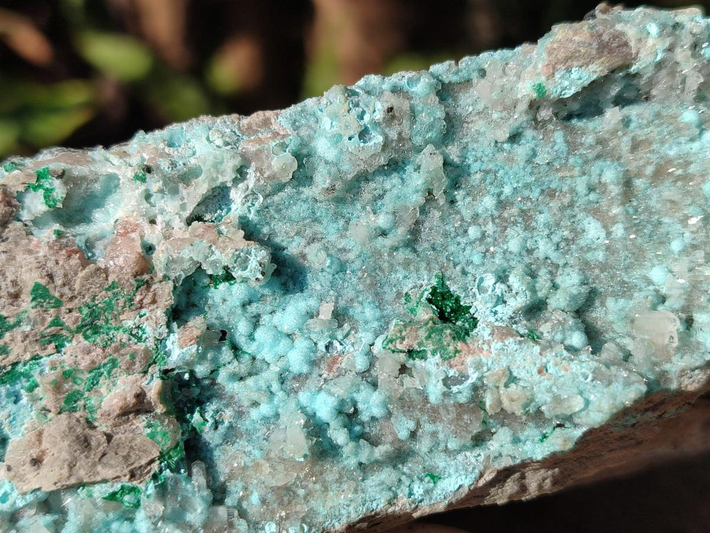 Natural Drusy Coated Chrysocolla Specimens with Malachite and Heterogenite on Dolomite x 2 From Lupoto Mine, Congo