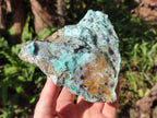 Natural Drusy Coated Chrysocolla Specimens with Malachite and Heterogenite on Dolomite x 2 From Lupoto Mine, Congo