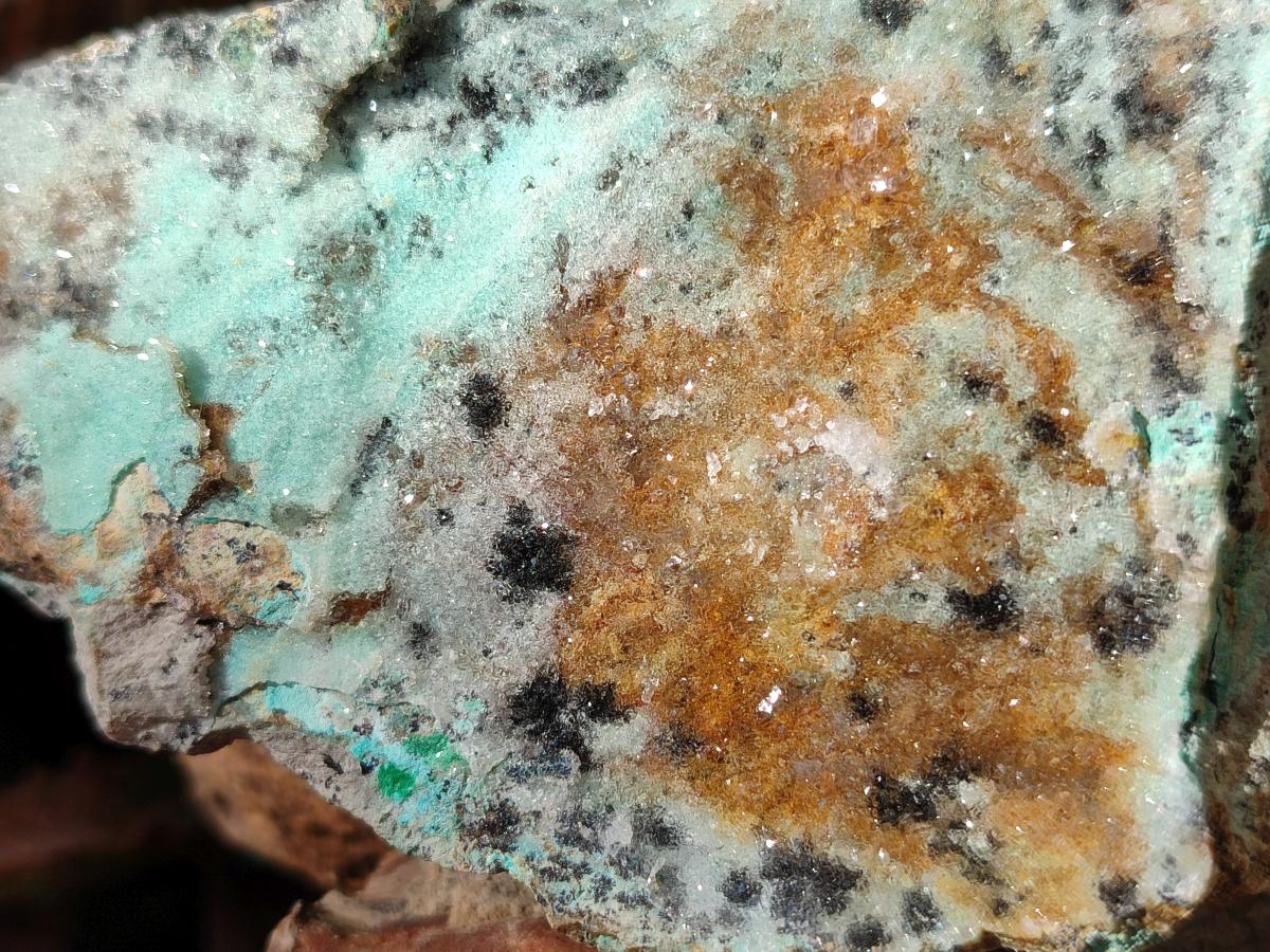 Natural Drusy Coated Chrysocolla Specimens with Malachite and Heterogenite on Dolomite x 2 From Lupoto Mine, Congo