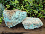 Natural Drusy Coated Chrysocolla Specimens with Malachite and Heterogenite on Dolomite x 2 From Lupoto Mine, Congo