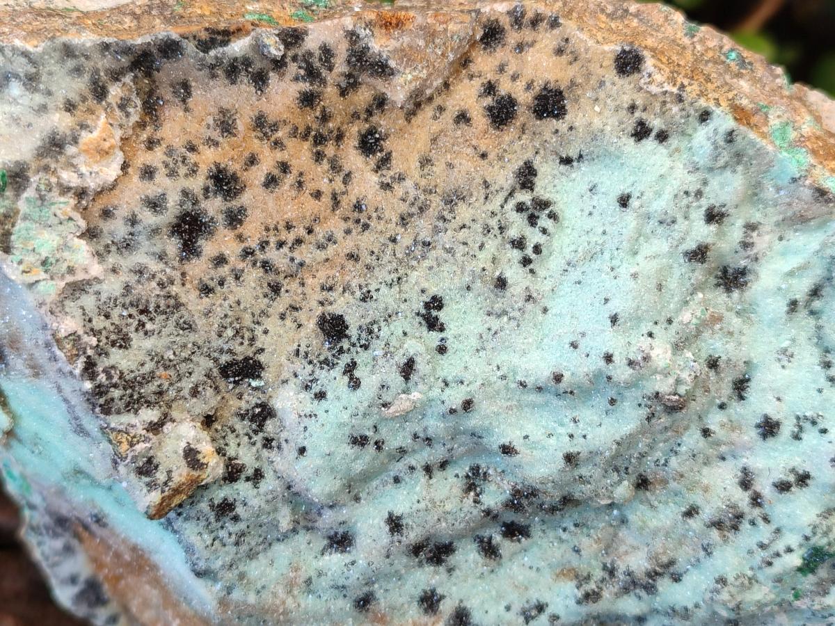 Natural Drusy Coated Chrysocolla Specimens with Malachite and Heterogenite on Dolomite x 2 From Lupoto Mine, Congo