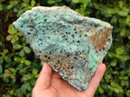 Natural Drusy Coated Chrysocolla Specimens with Malachite and Heterogenite on Dolomite x 2 From Lupoto Mine, Congo
