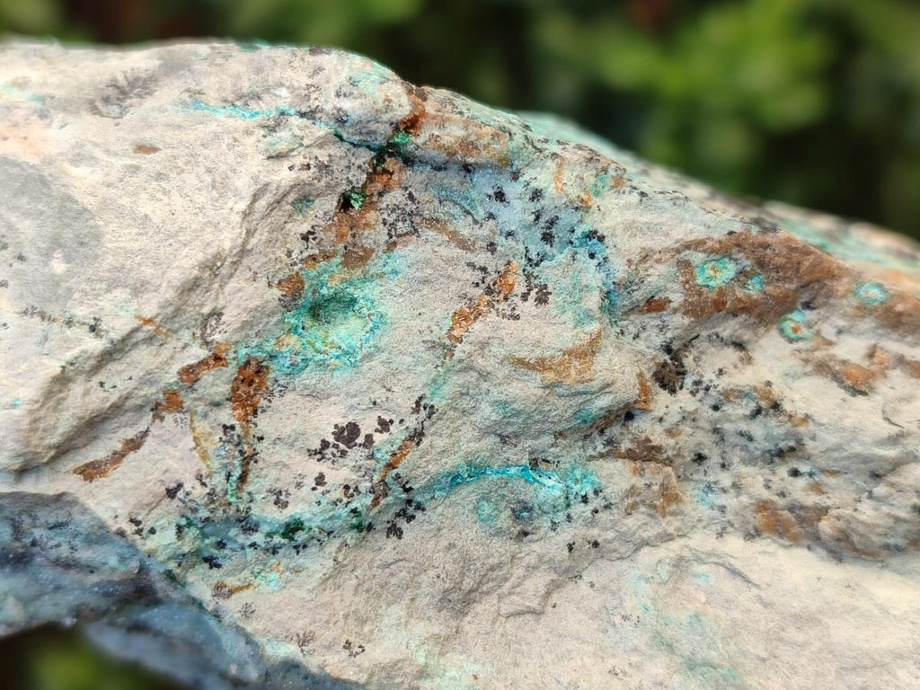 Natural Drusy Coated Chrysocolla Specimens with Malachite and Heterogenite on Dolomite x 2 From Lupoto Mine, Congo