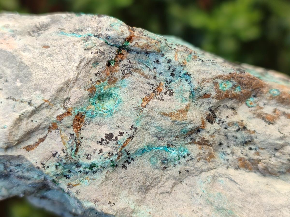 Natural Drusy Coated Chrysocolla Specimens with Malachite and Heterogenite on Dolomite x 2 From Lupoto Mine, Congo