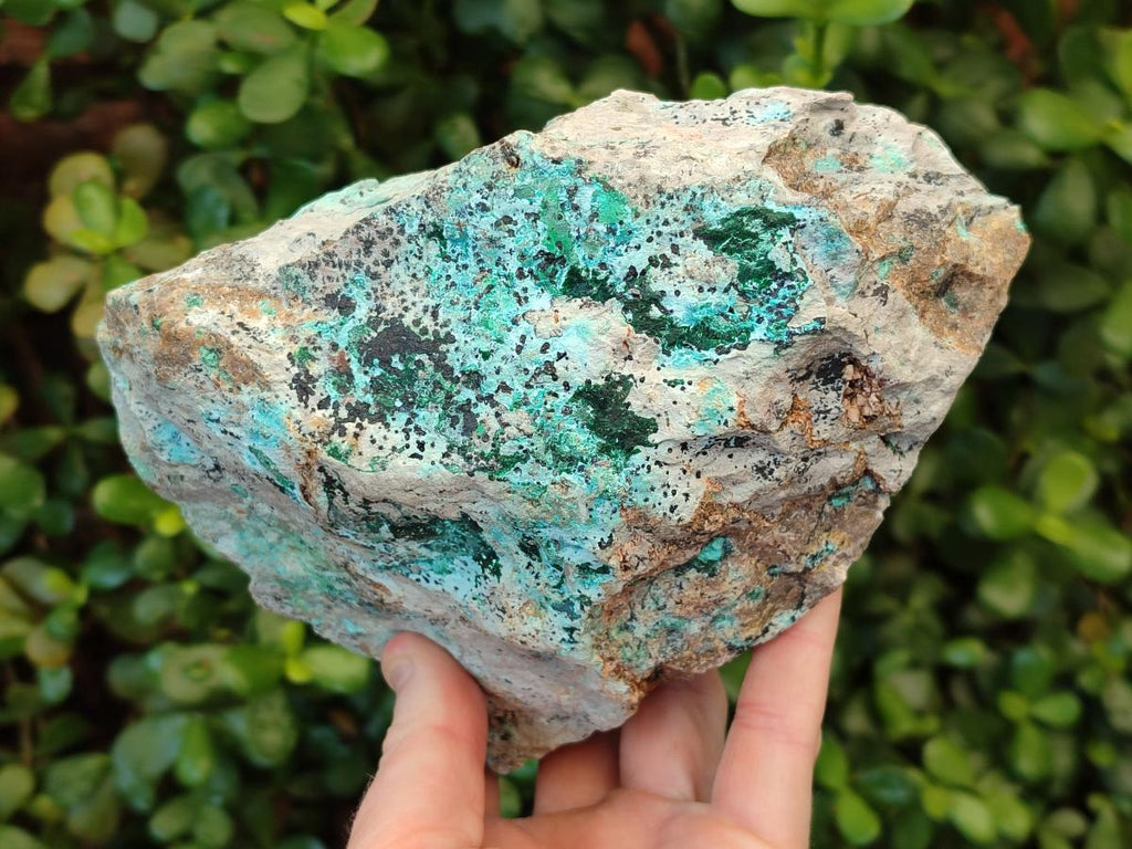 Natural Drusy Coated Chrysocolla Specimens with Malachite and Heterogenite on Dolomite x 2 From Lupoto Mine, Congo