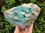 Natural Drusy Coated Chrysocolla Specimens with Malachite and Heterogenite on Dolomite x 2 From Lupoto Mine, Congo