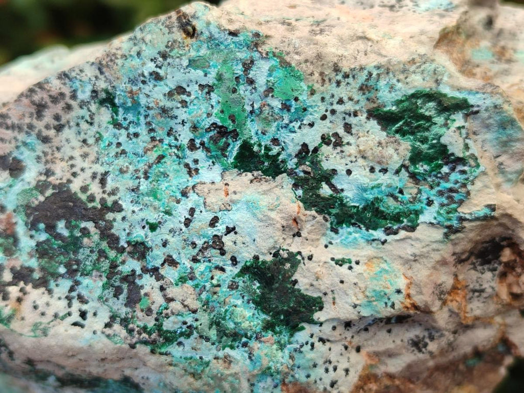Natural Drusy Coated Chrysocolla Specimens with Malachite and Heterogenite on Dolomite x 2 From Lupoto Mine, Congo