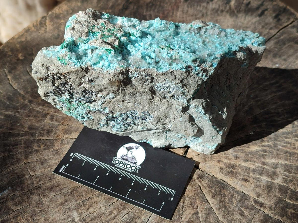 Natural Drusy Coated Chrysocolla Specimens with Malachite and Heterogenite on Dolomite x 2 From Lupoto Mine, Congo