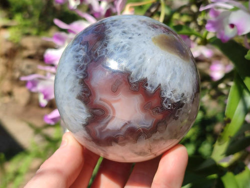 Polished Shashe River Agate Spheres x 2 From Shashe River, Zimbabwe - Toprock Gemstones and Minerals 