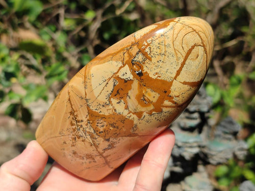 Polished Picture Stone Jasper Standing Display Pieces x 2 From Ais-Ais, Namibia