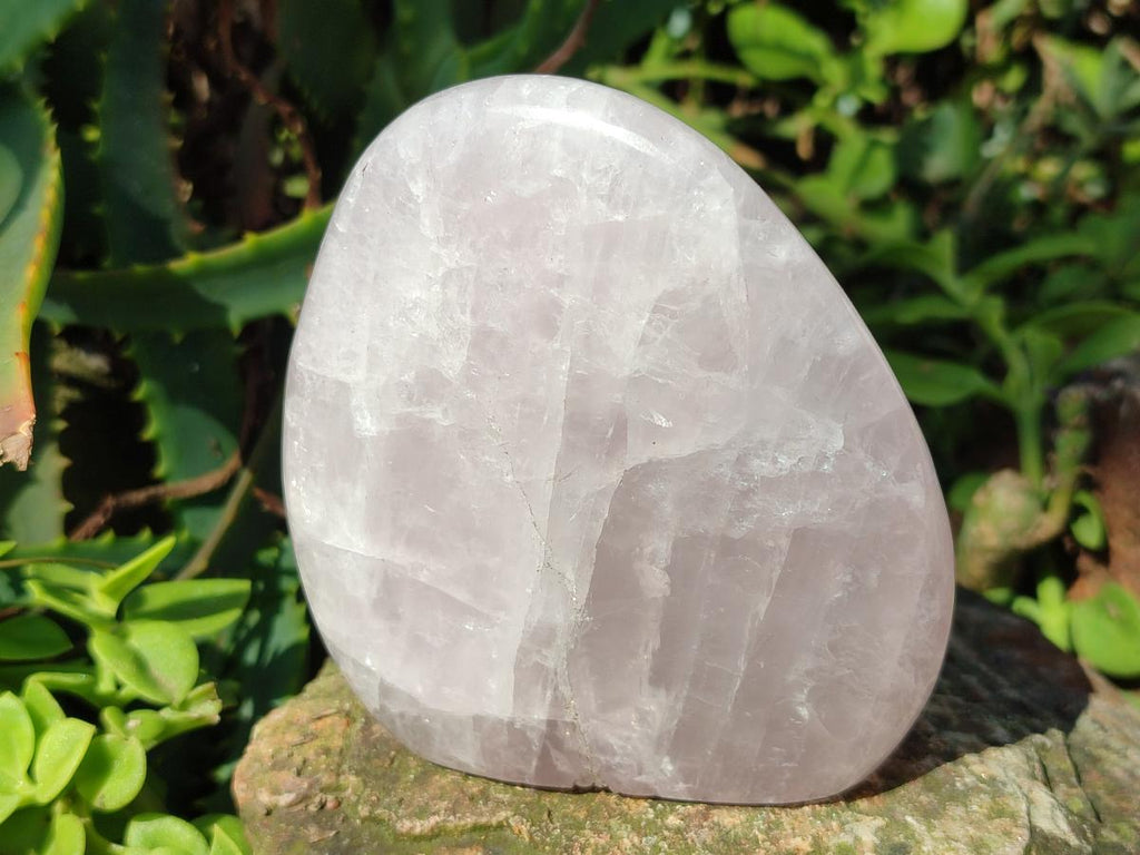 Polished Rose Quartz Standing Display Pieces x 6 From Zimbabwe