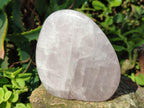 Polished Rose Quartz Standing Display Pieces x 6 From Zimbabwe
