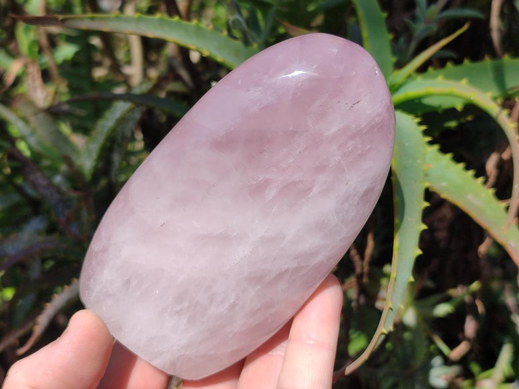 Polished Rose Quartz Standing Display Pieces x 6 From Zimbabwe