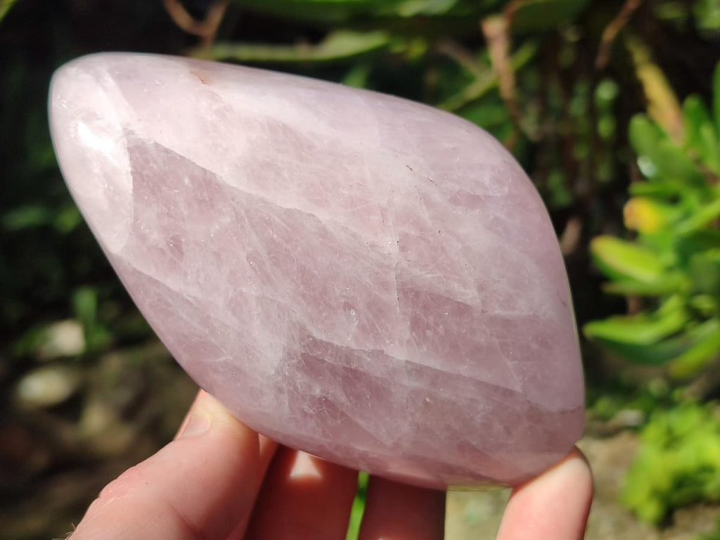 Polished Rose Quartz Standing Display Pieces x 6 From Zimbabwe