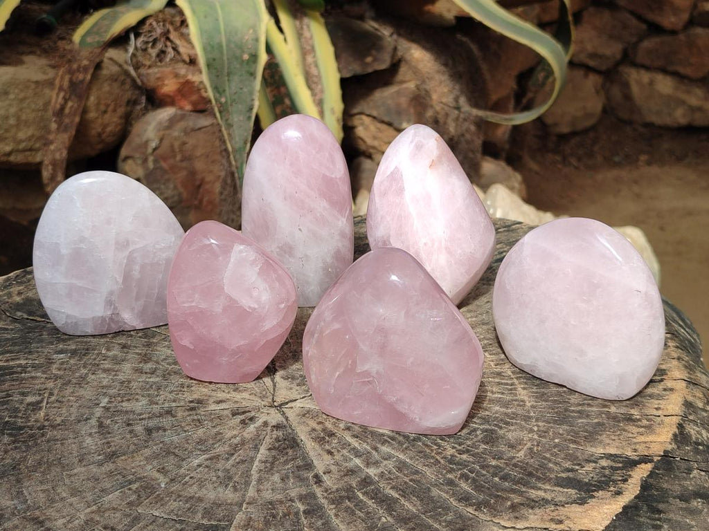 Polished Rose Quartz Standing Display Pieces x 6 From Zimbabwe