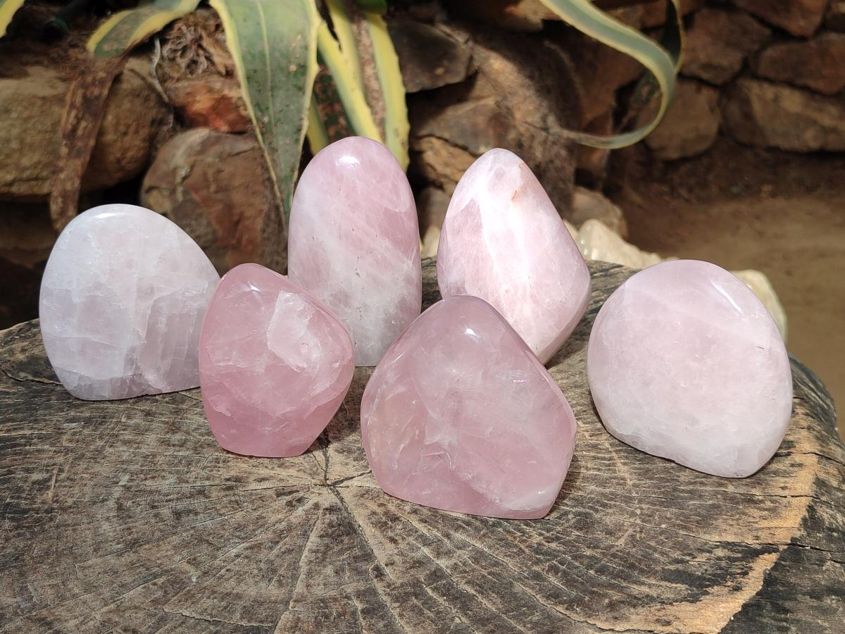 Polished Rose Quartz Standing Display Pieces x 6 From Zimbabwe