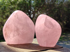 Polished Rose Quartz Standing Display Pieces x 6 From Zimbabwe