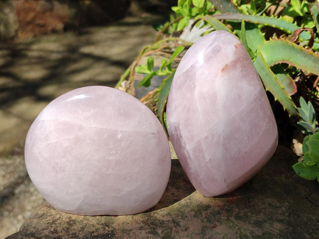 Polished Rose Quartz Standing Display Pieces x 6 From Zimbabwe