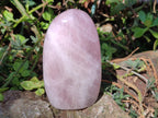 Polished Rose Quartz Standing Display Pieces x 6 From Zimbabwe