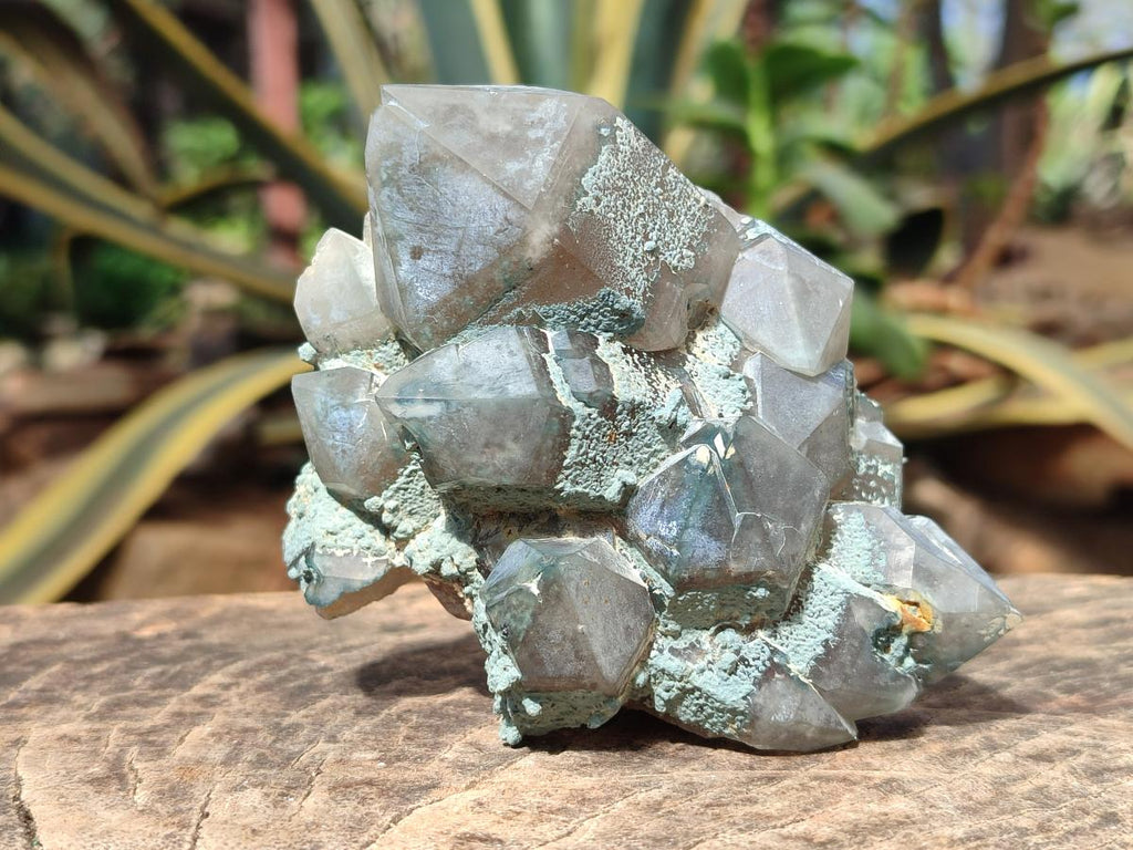 Natural Cabinet Size Smokey Quartz Clusters with Foitite x 6 From Erongo, Namibia