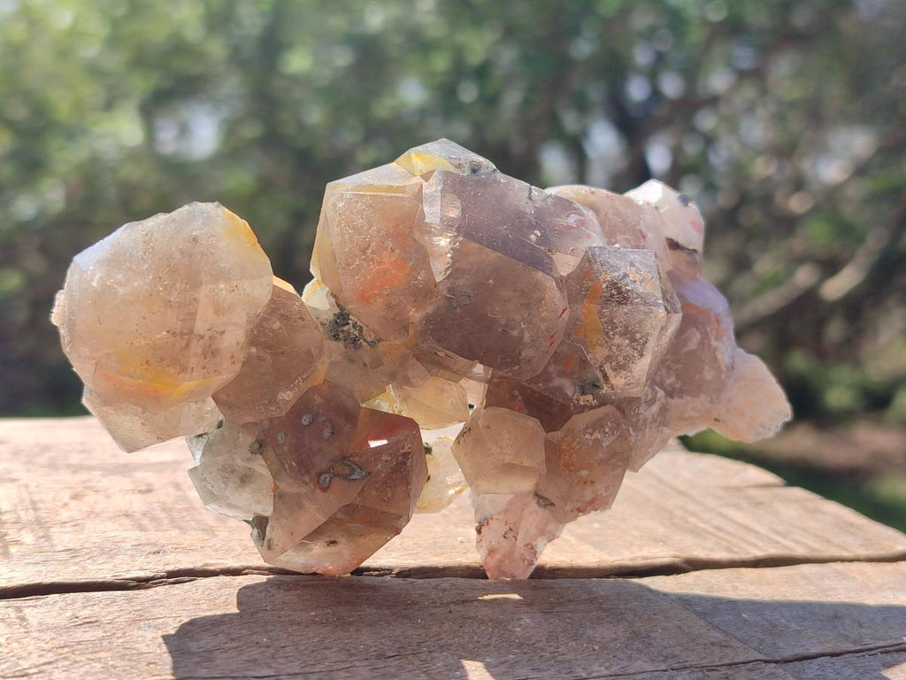 Natural Cabinet Size Smokey Quartz Clusters with Foitite x 6 From Erongo, Namibia