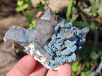 Natural Cabinet Size Smokey Quartz Clusters with Foitite x 6 From Erongo, Namibia