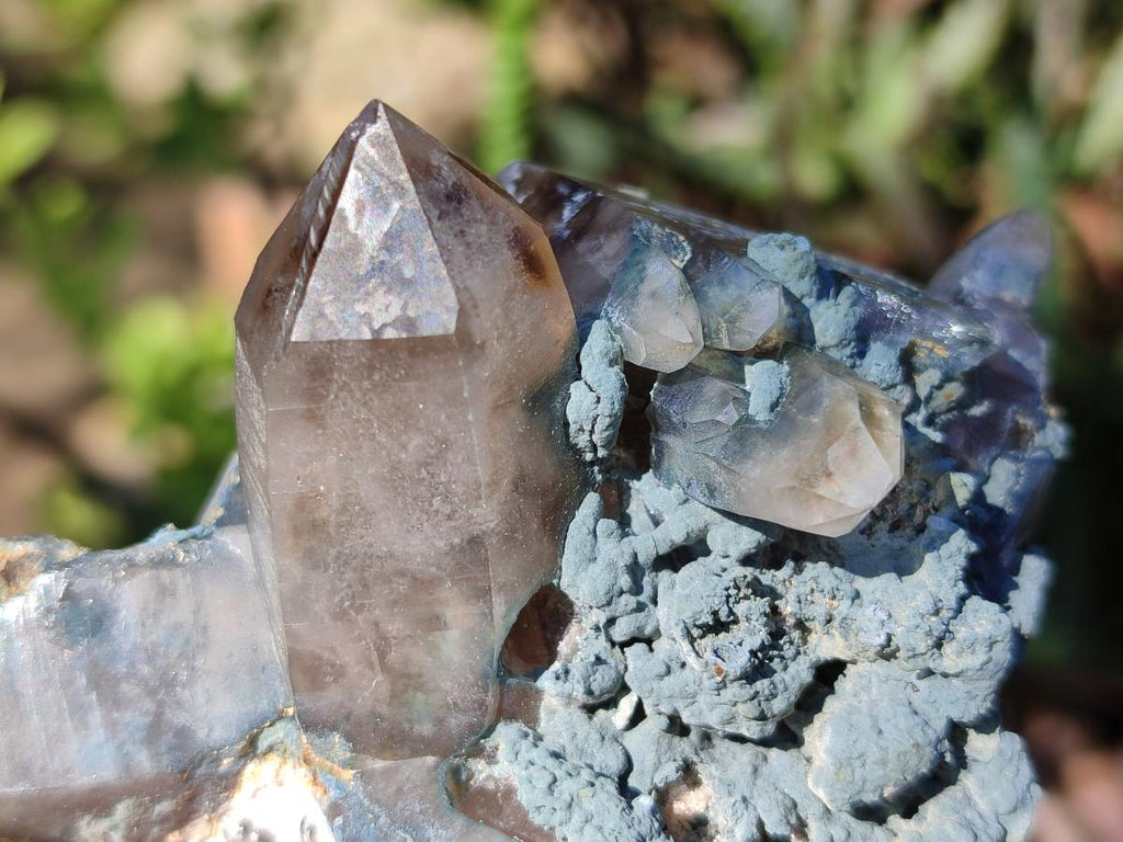 Natural Cabinet Size Smokey Quartz Clusters with Foitite x 6 From Erongo, Namibia