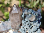 Natural Cabinet Size Smokey Quartz Clusters with Foitite x 6 From Erongo, Namibia