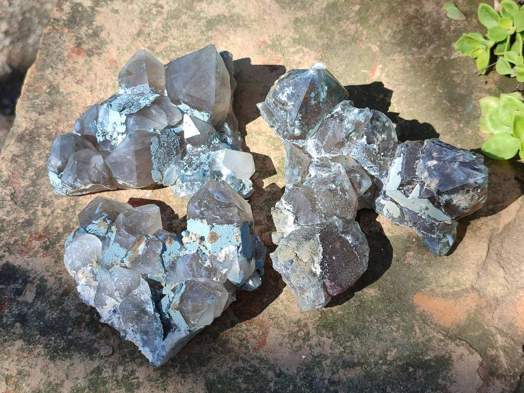 Natural Cabinet Size Smokey Quartz Clusters with Foitite x 6 From Erongo, Namibia