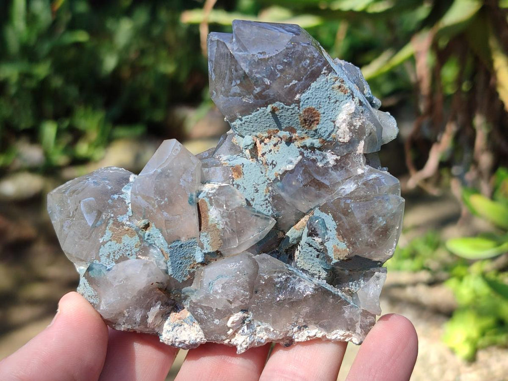 Natural Cabinet Size Smokey Quartz Clusters with Foitite x 6 From Erongo, Namibia