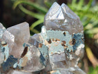 Natural Cabinet Size Smokey Quartz Clusters with Foitite x 6 From Erongo, Namibia