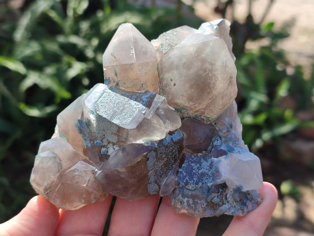 Natural Cabinet Size Smokey Quartz Clusters with Foitite x 6 From Erongo, Namibia