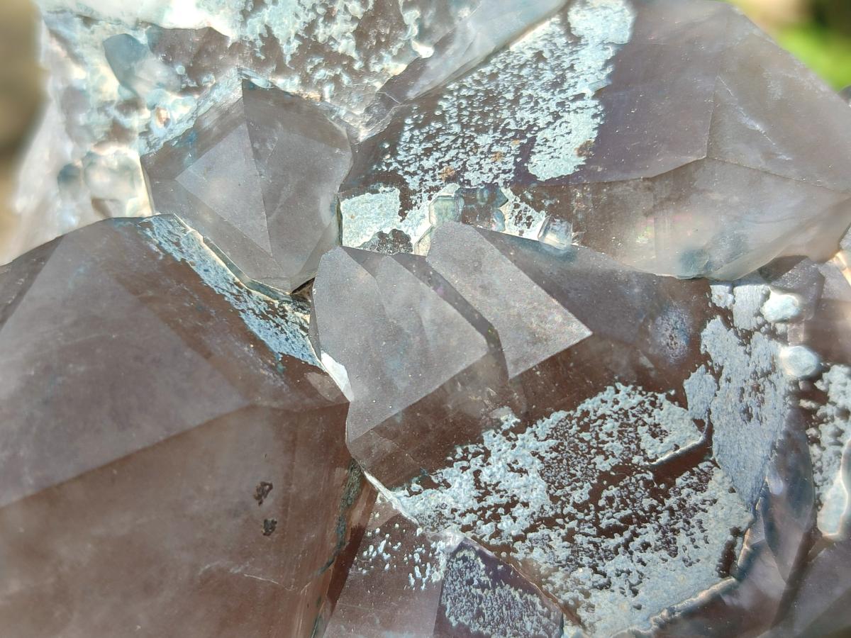 Natural Cabinet Size Smokey Quartz Clusters with Foitite x 6 From Erongo, Namibia