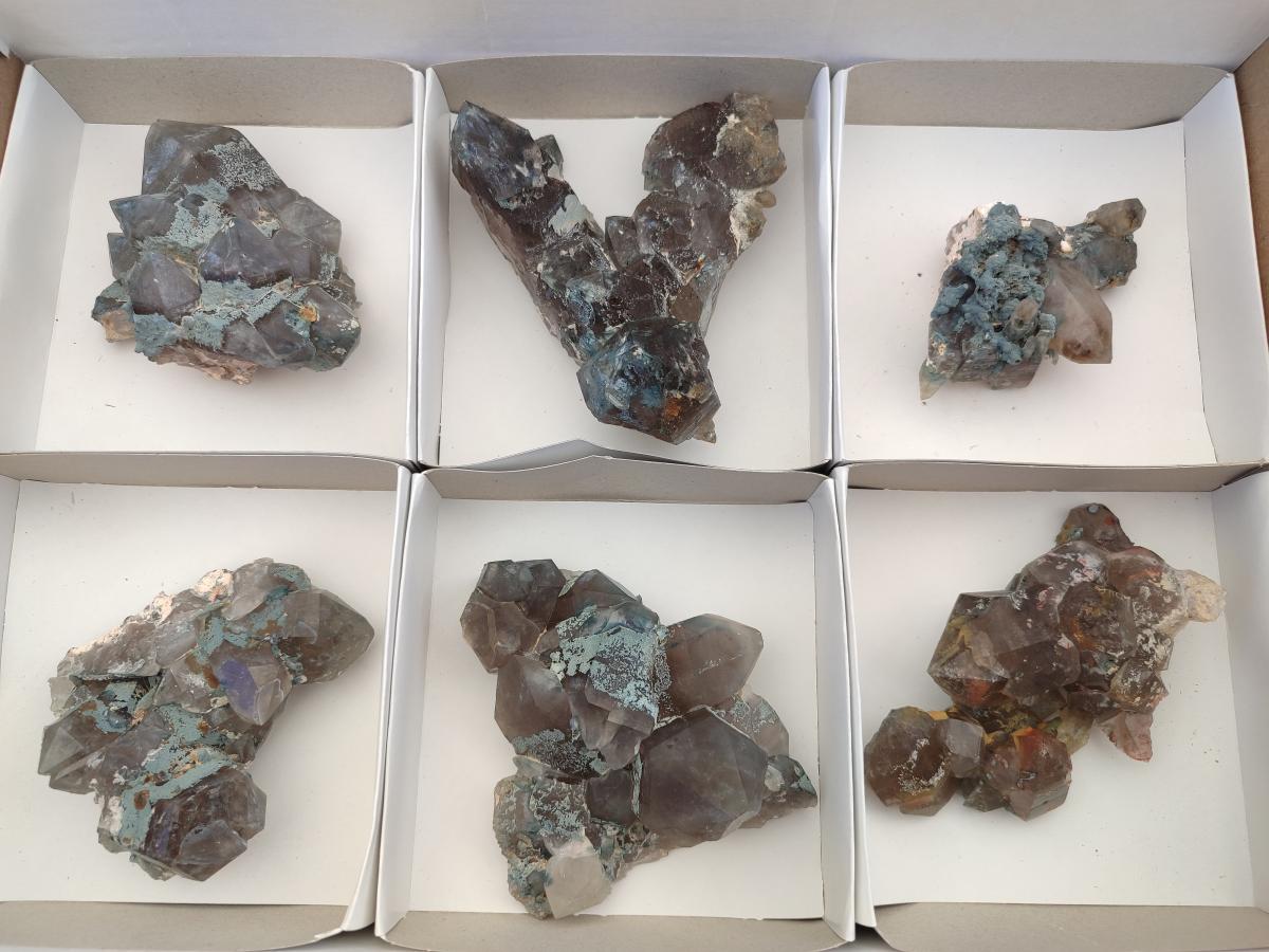 Natural Cabinet Size Smokey Quartz Clusters with Foitite x 6 From Erongo, Namibia