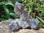 Natural Cabinet Size Smokey Quartz Clusters with Foitite x 6 From Erongo, Namibia