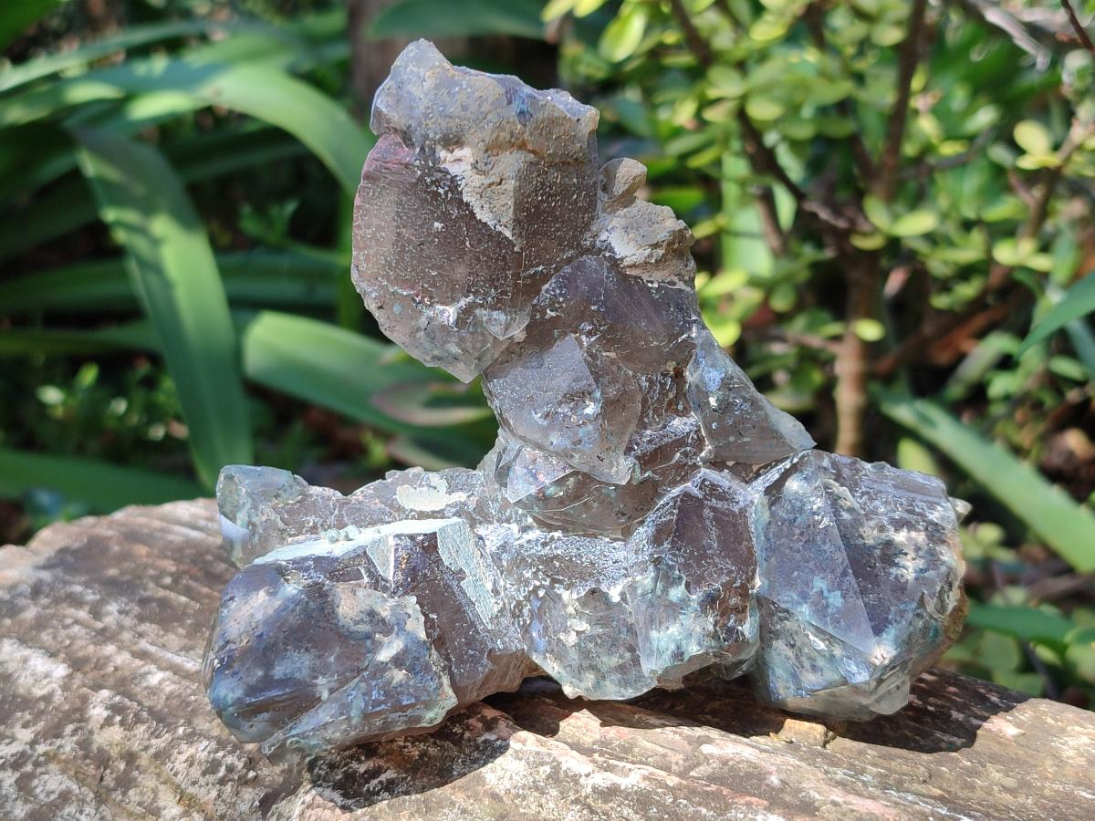Natural Cabinet Size Smokey Quartz Clusters with Foitite x 6 From Erongo, Namibia