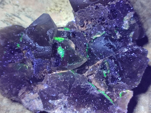 Natural Cabinet Size Smokey Quartz Clusters with Foitite x 6 From Erongo, Namibia