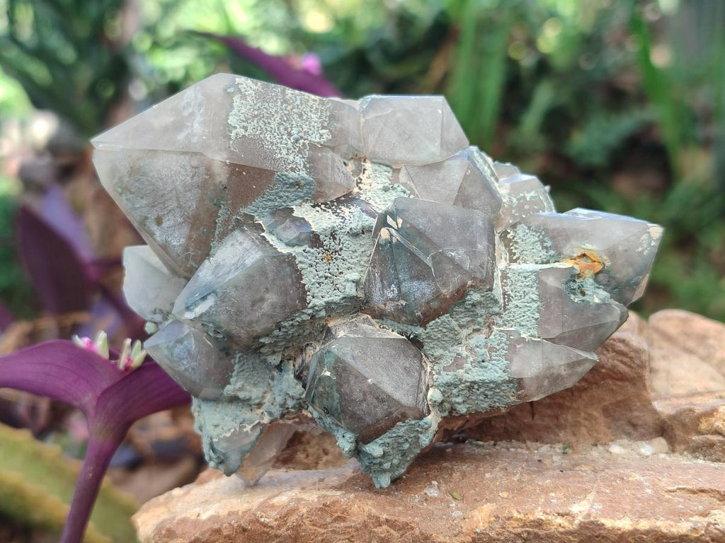 Natural Cabinet Size Smokey Quartz Clusters with Foitite x 6 From Erongo, Namibia
