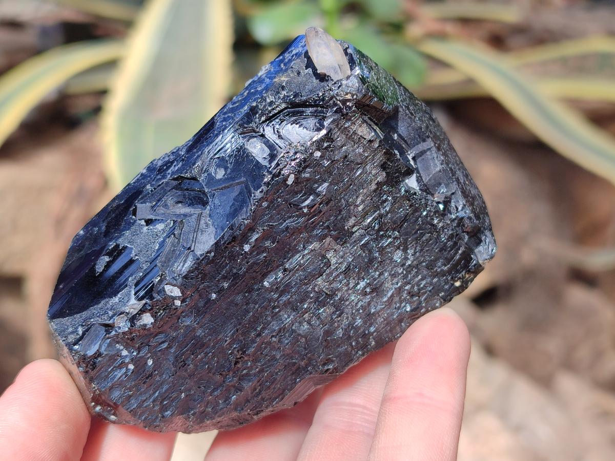 Natural Schorl Black Tourmaline Specimens x 4 From Erongo, Namibia