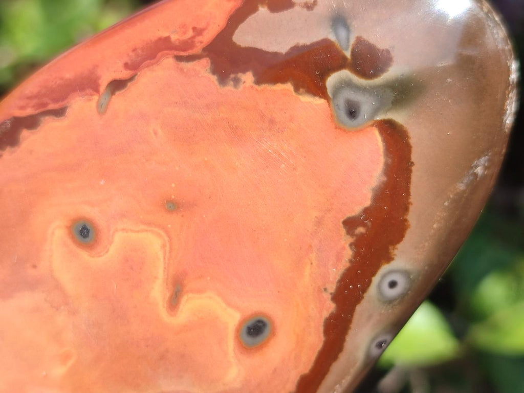 Polished Polychrome Jasper Standing Display Pieces x 6 From Androka, Madagascar